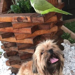 Meet your Posher, Cindy